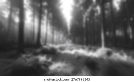 Dramatic sunbeams cut through misty forest, illuminating ferns and textured ground in moody black and white.