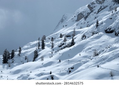Dramatic sunlight breaking through winter clouds over a snowy mountain slope with pines in the Dolomites, Italy