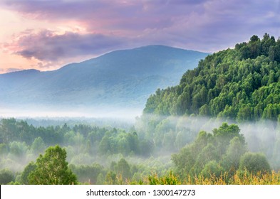 Dramatic Sunrise in the Mountains with Thick Misty Evergreen Forest on a Summer Morning, Ivanovskiy Khrebet Ridge, Altai Mountains, Kazakhstan.  Fantasyland Concept.