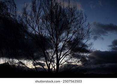 Dramatic sunrise sky with dark clouds and silhouette bare, winter trees. - Powered by Shutterstock