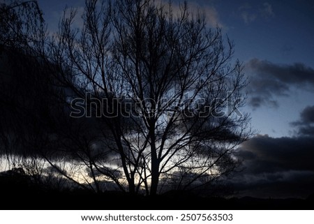 Dramatic sunrise sky with dark clouds and silhouette bare, winter trees.