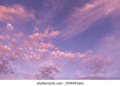 394,906 Purple Pink Sky Images, Stock Photos & Vectors | Shutterstock