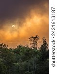 Dramatic Sunset above Rainforest of Lamington National Park, Queensland, Australia.