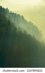 Dramatic sunset alpine natural background landscape of sun sending its sunny beams through the majestic old spruce trees forests that cover the foggy mountains slopes. Fog in the forest. Magic winter