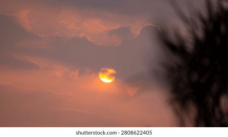 Dramatic Sunset Behind Dark Leaves With Cloudy Sky