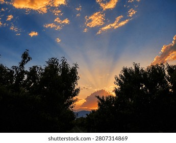 A dramatic sunset with bright sun rays shining through clouds above dark tree silhouettes. Perfect for nature and landscape backgrounds