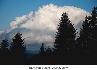 Dramatic Sunset Clouds Over Dark Forest Silhouette