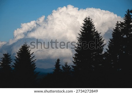 Dramatic Sunset Clouds Over Dark Forest Silhouette
