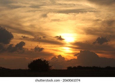 Dramatic Sunset With Cloudy Sky And Dark Treeline.