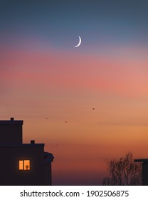 Dramatic sunset colors and young moon at the evening sky. Trees, birds and houses silhouette at night. Light in one lonely window. Cozy nightfall at city under crescent moon. Home family atmosphere.