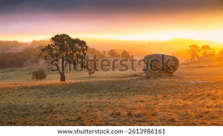 A dramatic sunset with golden light over an Australian farm with large boulders and gum tree.