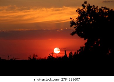 Dramatic sunset landscape featuring silhouetted trees and cranes against a colorful sky, evoking nature, wildlife, and peaceful evening atmosphere