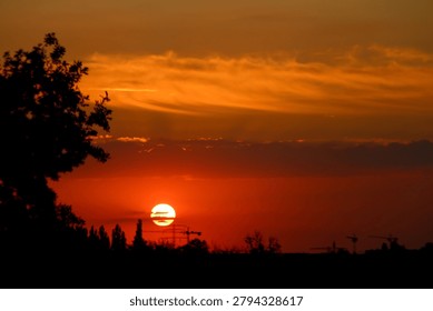 Dramatic sunset landscape featuring silhouetted trees and cranes against a colorful sky, evoking nature, wildlife, and peaceful evening atmosphere