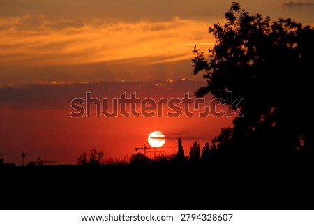 Dramatic sunset landscape featuring silhouetted trees and cranes against a colorful sky, evoking nature, wildlife, and peaceful evening atmosphere