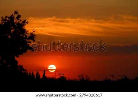 Dramatic sunset landscape featuring silhouetted trees and cranes against a colorful sky, evoking nature, wildlife, and peaceful evening atmosphere