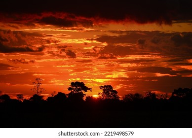 Dramatic Sunset On The Wetlands Of The Guaporé - Itenez River, Near The Remote Village Of Remanso, Beni Department, Bolivia, On The Border With Rondonia State, Brazil