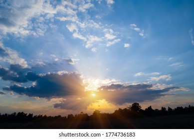 dramatic sunset over a forest silhouette