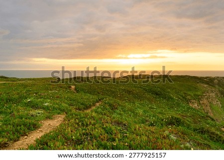 Dramatic sunset over an ocean horizon, viewed from a green, rugged cliff with a winding dirt path. Aljezur, Algarve, Portugal