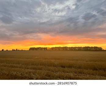 A dramatic sunset over an open field with a distant tree line silhouetted against vivid orange and yellow sky, transitioning into dark storm clouds above. A striking rural landscape capturing the vibrant colors of dusk over farmland.