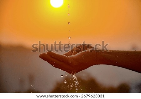Dramatic Sunset Over River Horizon
Life Flows Where Water Meets Sunlight