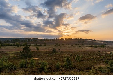 Dramatic sunset over the rolling hills of the Lüneburg Heath near Bispingen, Germany. Golden light pierces through clouds over the vast purple heathland.