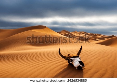 Dramatic sunset over the sand dunes with skull in the desert. Gobi desert