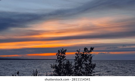 Dramatic sunset over the sea with a dark silhouette of tree leaves in the foreground. Vibrant orange, yellow, and blue cloudy sky above the water horizon.