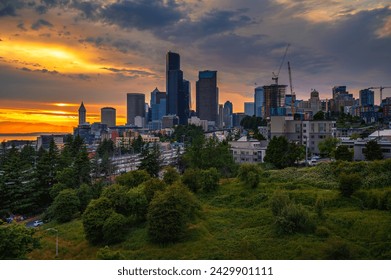 Dramatic sunset over Seattle skyline with visible greenery in the foreground, viewed from Dr. Jose Rizal Bridge.