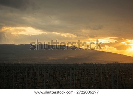 Dramatic Sunset Over Vineyard Fields And Rolling Mountain Landscape. Expansive vineyard field at golden hour with dramatic clouds and sun rays lighting up the rolling mountains in the background. A cinematic and atmospheric rural scene capturing the beauty of wine-growing regions and the quiet charm of countryside life. Suitable for themes like travel, agriculture, eco lifestyle, organic production and inspirational nature concepts.