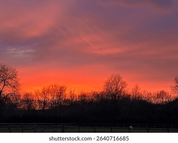 Dramatic sunset over winter trees and field
Vivid orange and pink sunset casting light behind bare trees with silhouetted branches and a wooden fence in the foreground.