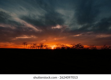 Dramatic sunset with silhouetted trees on the horizon under a vibrant orange and moody blue sky, nature's peaceful end of day