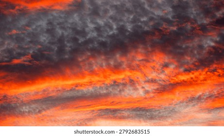 Dramatic sunset sky filled with dark grey altocumulus clouds illuminated by vibrant orange and red sunlight from beneath.