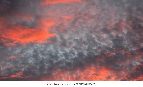 Dramatic sunset sky filled with dark grey altocumulus clouds illuminated by vibrant orange and red sunlight from beneath.
