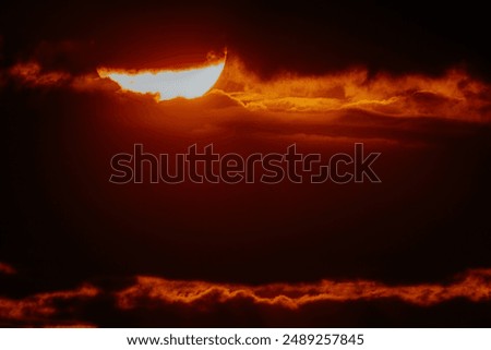 Similar – Silhouette of a field of sunflowers at sunset