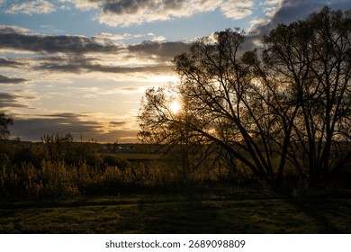Dramatic sunset through silhouetted tree branches, casting golden light over a tranquil field Serene nature landscape at dusk