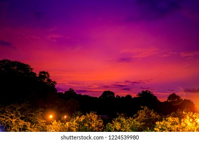 Dramatic Sunset with Trees Silhouette