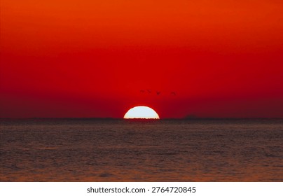 A dramatic sunset view on the ocean horizon with a fiery red sky and silhouettes of birds flying.