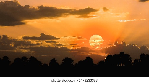 Dramatic sunset with vivid orange and yellow hues, clouds scattering across the sky, silhouetted trees in the foreground. - Powered by Shutterstock