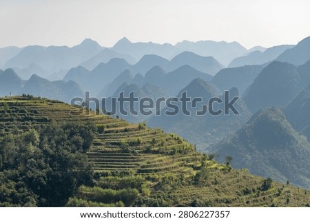 Dramatic terraced rice fields on Ha Giang Loop mountainside in Vietnam with layered mountain ranges fading into atmospheric haze, showcasing traditional agricultural practices and scenic landscape.