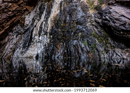 Dramatic Texture On The Wall of Cattail Falls in Big bend national park