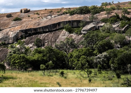 A dramatic, three dimensional landscape in the Matopos, Zimbabwe, featuring a cutaway in the body of rock, and fallen boulders softened by woodland.