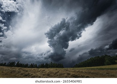 The dramatic thunderclouds over a field with green trees - Powered by Shutterstock - Get 15% off with code: PIKWIZARD15