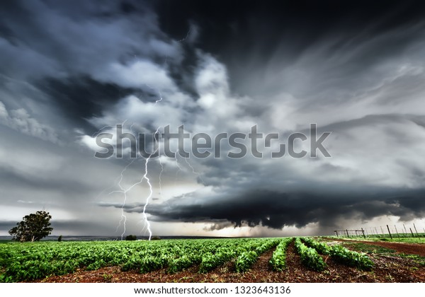 Dramatic thunderstorm with lightning\
landscape over a farm in the Highveld of South\
Africa