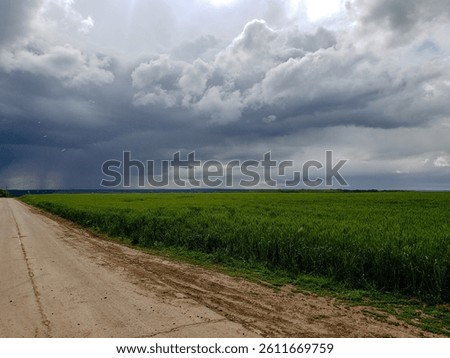 Dramatic thunderstorm sky over a green wheat field and rural road in spring. Countryside landscape before rain with storm clouds and horizon.