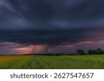 Dramatic thunderstorm with visible lightning and dark clouds over green fields in Masuria, Poland at dusk.