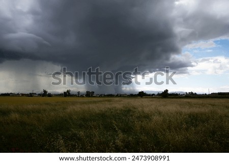 Dramatic tornado formation over rural agricultural landscape, stormy weather