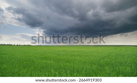 Dramatic and Unpredictable Weather Occurring Above a Lush and Vibrant Green Landscape