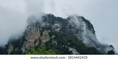 A dramatic vertical shot focusing on a steep limestone karst cliff face surrounded by dense tropical vegetation. An atmospheric wilderness scene capturing ragged gray fog and mist rolling directly over the forested mountain slope in Lam Binh, Tuyen Quang province, northern Vietnam.