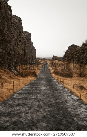Dramatic vertical view of the Almannagja fault line path in Thingvellir National Park, Iceland. A long gravel walking trail leads through a massive basalt rock canyon with golden autumn grass and moss-covered cliffs under a misty white sky. Historic UNESCO World Heritage site.