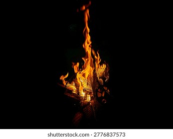 Dramatic vibrant orange fire flames burning through a metal wire frame against a pitch black background. Intense heat, glowing sparks, and artistic fire textures for creative design concepts.